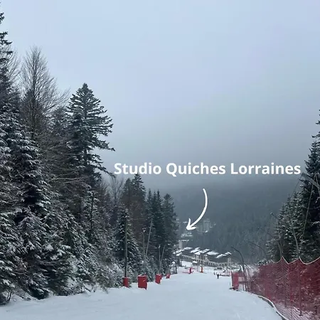 Pied Des Pistes Lejlighed La Bresse