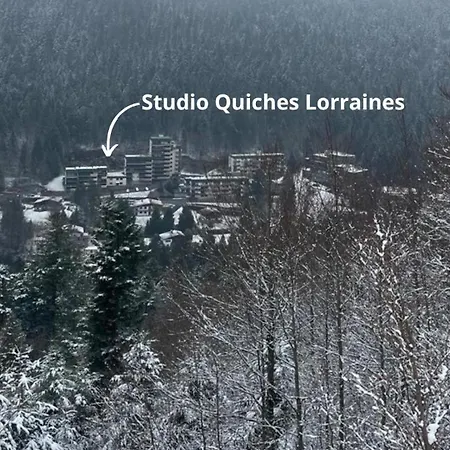 Pied Des Pistes * 라브레세