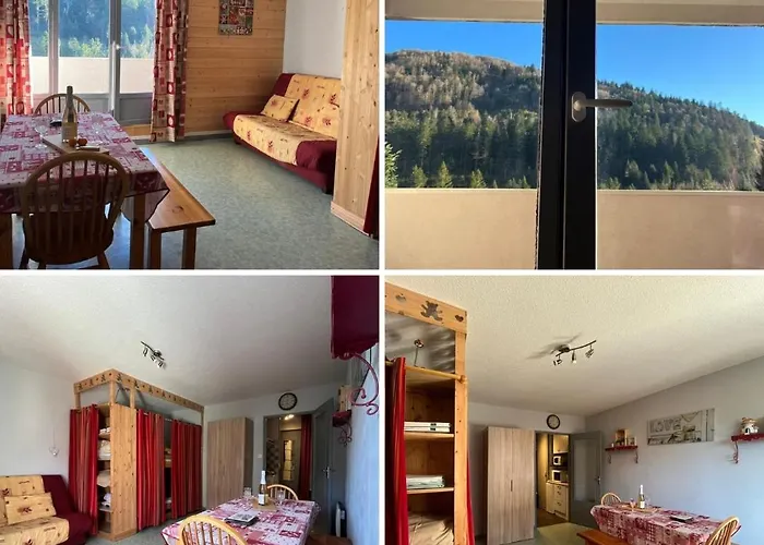 Pied Des Pistes Apartment La Bresse