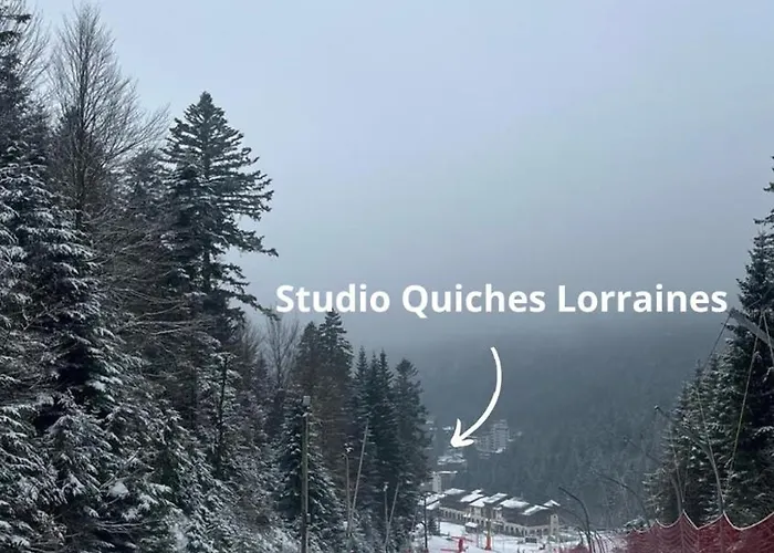 Pied Des Pistes Apartment La Bresse