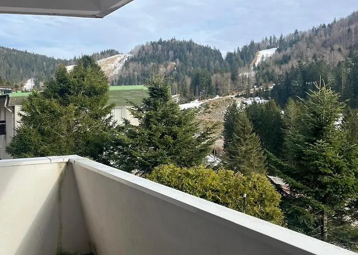 Pied Des Pistes La Bresse